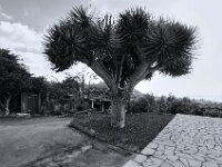 Puntagorda 2026 sw HDR 001