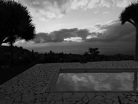Puntagorda 2026 069